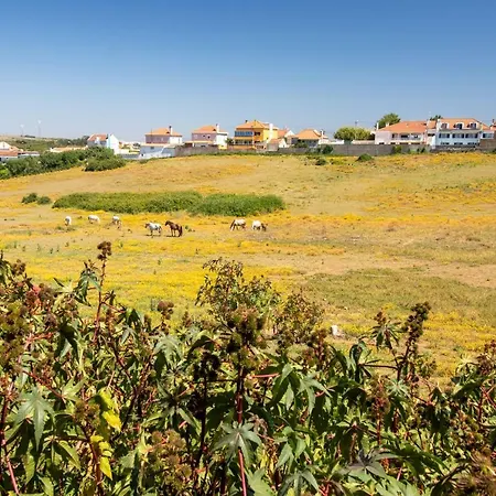 Nyaraló Cozy *